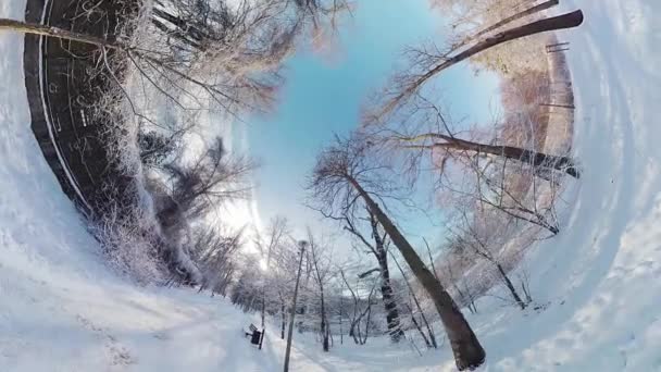 Tome Fascinante Viaje Través Parque Cubierto Nieve Este Cautivador Video — Vídeos de Stock