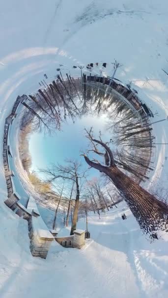 Погрузитесь Очаровательную Красоту Спокойного Снежного Леса Этим Захватывающим 360 Градусным — стоковое видео