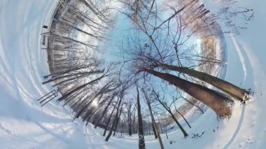 Bu karlı bir ormanın 360 derecelik bir videosu. Video yerden çekilmiş, ve ekranın etrafındaki ağaçları da gösteriyor. Ağaçlar çıplak ve kar zeminde yoğundur. Bir şey var.