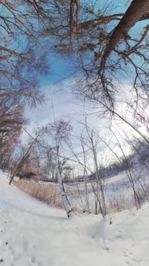 Bu 360 derecelik sanal gerçeklik videosunda sakin bir kış ormanında büyüleyici bir yolculuğa çıkın. Ayaklarının altındaki karın yumuşak çıtırtıları ve karla kaplı ağaç dallarının hafif salınımları...