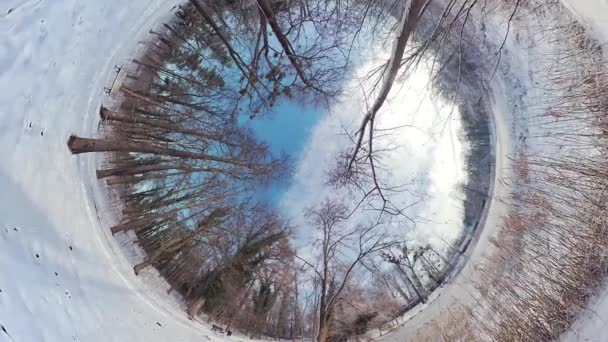 この没入型360度のビデオで穏やかな冬の森を巡る魅惑的な旅に出かけます 静かな環境は タワーの木とAで飾られた自然な雪に覆われた風景を示しています — ストック動画