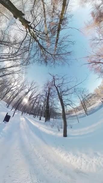 在这个360度的虚拟现实视频中 在宁静的冬季森林中展开迷人的旅程 脚下轻柔的积雪和风中纤细的枝条创造了宁静 — 图库视频影像