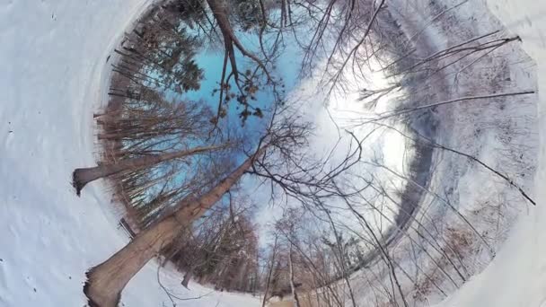 Vydejte Podmanivou Cestu Klidným Zimním Lesem Tomto Ponořujícím 360 Stupňovém — Stock video