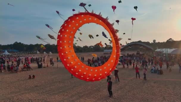 Захоплюючий Погляд Фестиваль Повітряних Зміїв Розгортається Величезному Просторі Відкритого Поля — стокове відео