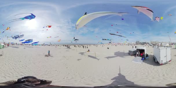 Video Poskytuje 360 Stupňový Pohled Pláž Plnou Lidí Kteří Užívají — Stock video