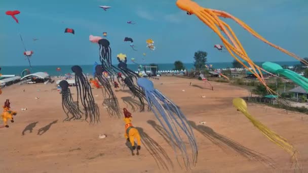Video Mostra Una Spiaggia Con Una Vasta Distesa Cielo Azzurro — Video Stock