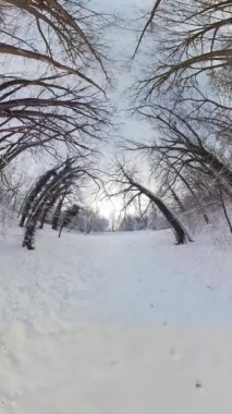 Video, karlı bir ormanın 360 derecelik sanal gerçeklik turu. Video, uzaktaki birkaç ağaçla karla kaplı bir tarlanın görüntüsüyle başlıyor. Kamera daha sonra sağa döner ve bir...