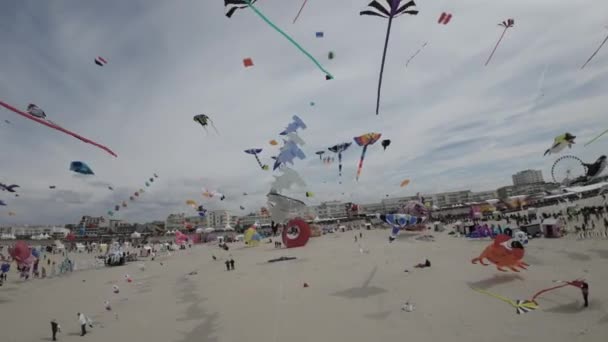 Video Shows Impressive Kite Festival Beach Many Different Kinds Kites — 图库视频影像