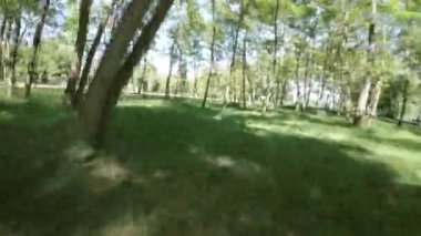 Huzurlu Ormanlarda Yolculuk adlı büyüleyici videomuzla kendinizi doğanın sakinleştirici güzelliğine daldırın. Bu büyüleyici görüntüler sizi huzurlu bir gezintiye çıkarıyor.