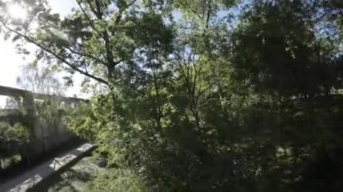 Güzel bir ormanda sakin bir gezintinin huzur verici görüntüsünün ve seslerinin tadını çıkar. Tomurcuklanan ağaçlar ve canlı bitki yaşamı huzur verici ve ferahlatıcı bir atmosfer yaratır. Rahatlamak için mükemmel bir ortam.