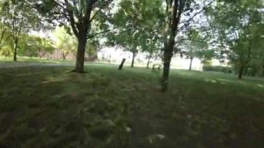 Muhteşem bir parkta sakin bir yolculukta bize katılın. Video, yemyeşil bir parkın içinden geçen bir bisikletçinin birinci şahıs perspektifini içeriyor. Park uzun ağaçlarla, açık otlarla dolu.