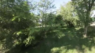 Kendini yemyeşil yemyeşil ve sakin bir nehrin ahenkli bir vaha yarattığı bu huzurlu parkın resimsel güzelliğine daldır. Video sizi parklarda büyüleyici bir yolculuğa çıkarıyor.