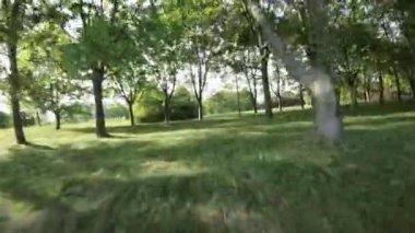 Huzur dolu bir parkın bu büyüleyici videosuyla kendinizi doğanın sükunetine bırakın. Verimli yeşil tarlalar, görkemli ağaçlar ve çiçek açan çiçekler muhteşem bir manzara yaratır.