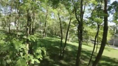 Parkta sakin bir gezinti yap ve güzel manzaranın tadını çıkar. Yeşillik ağaçlar geniş bir gölge sağlar ve hafif esinti yaprakları hışırdatır. Park çok bakımlı, asfalt yolları var.