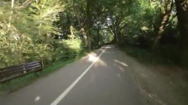 Kendini doğanın sükunetine bırak bu büyüleyici sakin bisiklet sürüşü videosuyla güzel bir ormanda. Güneşli yol, yemyeşil yollara doğru esiyor.