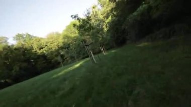 Günlük hayatın telaş ve koşuşturmasına ara verin ve kendinizi yeni videomuzla doğanın sakinleştirici güzelliğine daldırın. Yeşillik bir ormanda huzurlu bir yolculukta bize katıl.