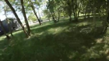 Güneşli bir günde yemyeşil bir parkta huzurlu bir gezinti. Video, parklarda asfalt yolda yürüyen bir kişinin birinci şahıs perspektifi. Park çeşitli ağaç türleriyle doludur.