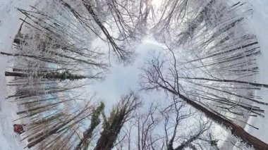 Bu video karlı bir ormanı 360 derecelik bir açıyla gösteriyor. Video yerden çekilmiş, ve aşağıdaki ağaçları da gösteriyor. Ağaçlar çıplak ve dalları karla kaplı. Kar.