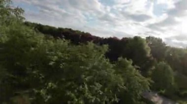 Kendinizi doğanın sükunetine bu büyüleyici videoyla daldırın, bu video sizi güzel bir parkta huzurlu bir yolculuğa çıkarıyor. Bereketli yeşil ağaçlar, canlı çiçekler ve sakin su.