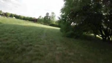 Heyecan verici bir yolculukta bir paten kesesine katılırken kendinizi canlı bir parkın atmosferine daldırın. Park yemyeşil ağaçlarla canlanıyor, canlandırıcı bir tepe örtüsü sağlıyor.