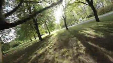 Paten kayanların heyecanlı yolculuğuna katılırken kendinizi canlı bir park atmosferine daldırın. Park yemyeşil ağaçlarla canlanıyor, güneşlerden ferahlatıcı bir gölgelik sağlıyor.
