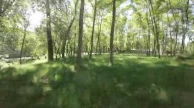 Bu, güzel bir yaz gününde parkta sakin bir yürüyüşün videosu. Video birinci şahıs bakış açısıyla çekiliyor, ve izleyiciler parkın görüntülerinden ve seslerinden keyif alabiliyor.