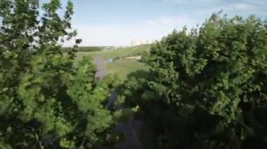 Güzel bir günde parkta huzurlu bir yürüyüş. Güneş parlıyor, kuşlar ötüyor ve çiçekler açıyor. Park yemyeşil, çeşitli ağaçlar ve çalılarla dolu.