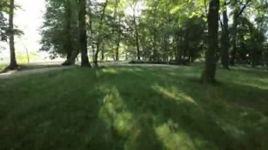 Kendinizi doğanın güzelliğine daldırın. Bu büyüleyici videoyla büyüleyici bir parkta sakin bir şekilde yürüyün. Bereketli yeşil ağaçlar, canlı çiçekler ve sakin bir atmosfer oluşturur.