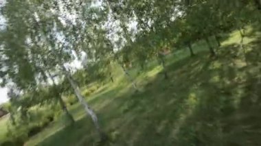 Kendinizi doğanın sükunetine bu büyüleyici videoyla daldırın. Yeşillik ve canlı çiçeklerin güzel bir zemin oluşturduğu çarpıcı parkta huzurlu bir gezintiye katılın.