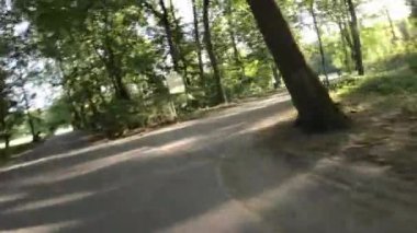 Güneşli bir günde güzel bir parkta sakin bir gezintinin tadını çıkar. Video, günlük hayatın koşuşturma ve koşuşturmasından rahatlatıcı ve rahatlatıcı bir kaçış..