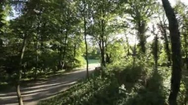 Kendinizi doğanın sükunetine bırakın. Bu büyüleyici bisiklet sürme videosuyla nefes kesici bir parkın içinden geçin. Güneşin ışıltısı ağaçların arasından süzülerek büyülü bir atmosfer yaratıyor.