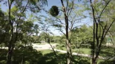 Kendinizi bu güzel parkın sükunetine daldırın, burada yükselen ağaçlar yemyeşil bir gölgelik oluşturur ve uzak tuğla baca endüstriyel bir cazibe katar. Video seni huzurlu bir yere götürüyor.