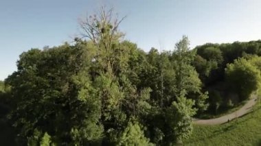 Son dron görüntülerimizle kendinizi doğanın sükunetine daldırın. Bu büyüleyici video sizi yemyeşil çayırlarda huzurlu bir yolculuğa çıkarıyor. Orada yumuşak bir akışa şahit olacaksınız.
