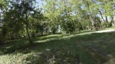 Kendinizi doğanın güzelliğine daldırın. Bu büyüleyici videoyla. Pahalı bir parkta sakin bir gezinti. Bereketli yeşil ağaçlar, canlı çiçekler ve sakin bir atmosfer oluşturur.
