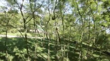 Parkta sakin bir gezinti yap ve güzel manzaranın tadını çıkar. Yeşillik ağaçlar geniş bir gölge sağlar ve hafif esinti yaprakları hışırdatır. Park iyi korunmuş, temiz yolları var.