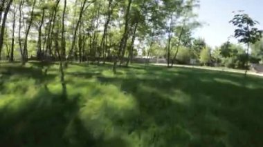 Bu parkta barışçıl bir yürüyüşün videosu. Video, parkta yürüyen bir insanın perspektifinden çekildi. Yeşillikleri, öten kuşların seslerini ve...