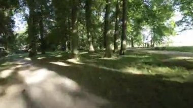 Bu, parkta yürüyüşün birinci şahıs bakış açısı videosu. Video güneşli bir günde çekiliyor ve yemyeşil ağaçlar ve bitkiler tamamen çiçek açmış durumda. Park asfalt döşeli ve bakımlı.