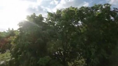 Kendinizi yemyeşil ağaçların dingin yollar üzerinde bir gölgelik oluşturduğu bu çarpıcı parkın sükunetine daldırın. Parkların doğal güzelliği büyüleyici, yeşilin çeşitli tonlarında.