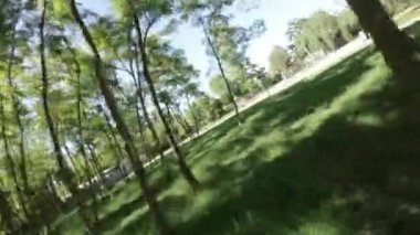 Bu parkta barışçıl bir yürüyüşün videosu. Video, parkta yürüyen bir insanın perspektifinden çekiliyor ve yemyeşil, güzel ağaçlar ve huzur dolu...