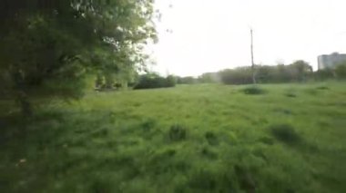 Kendinizi doğanın güzelliğine daldırın. Bu büyüleyici videoyla. Pahalı bir parkta sakin bir gezinti. Bereketli yeşil çimenler ve canlı ağaçlar dingin bir atmosfer yaratıyor.