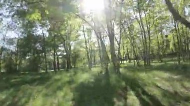 Bu güneşli bir günde yemyeşil bir ormanın bir su kütlesinin yanında çekilmiş güzel bir drone videosu. Video çok rahatlatıcı ve huzur verici. Rahatlamak ya da gevşemek için mükemmel. Ağaçların hepsi yerinde.