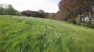 Paten kaymaya hevesli bir parkın enerjik enerjisine dalın kendinizi. Resimli bir parkın içinde. Park yemyeşil ağaçlarla süslenmiş ve güneş ışınlarından ferahlatıcı bir gölgelik sunuyor. Farklı