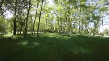 Parkta yürümenin rahatlatıcı videosuyla kendini doğanın güzelliğine bırak. Yeşiller yemyeşil ağaçlar, açık çimenlik alanlar ve cıvıldayan kuşlar huzurlu ve sakin bir atmosfer yaratıyor. Bırak...
