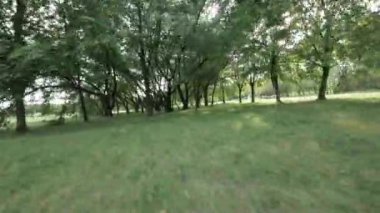 Kendinizi doğanın güzelliğine daldırın. Bu büyüleyici videoyla büyüleyici bir parkta sakin bir şekilde yürüyün. Bereketli yeşil ağaçlar, canlı çiçekler ve sakin bir atmosfer oluşturur.