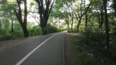 Muhteşem bir parkta huzurlu ve ferahlatıcı bir bisiklet yolculuğunun tadını çıkar. Güneş parlıyor, ağaçlar yemyeşil ve yemyeşil ve kuşlar cıvıldıyor. Koşuşturma ve koşuşturmadan mükemmel bir kaçış.