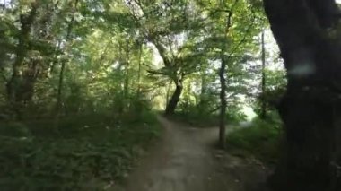 Güzel bir yaz ormanında sakin bir gezintinin tadını çıkarın. Videoda yemyeşil ağaçlar, dolambaçlı toprak bir patika ve kuş ötüşü ve hışırtısının yumuşak sesleri yer alıyor.