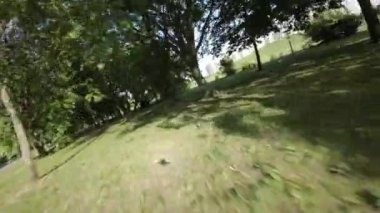 Canlı yeşillikler, çiçek açan çiçekler ve yemyeşil ağaçlarla dolu bir parkta heyecanlı bir yolculuk. Parklar, açık alanlarda ve gölgeli gölgelerin altında esen kaldırımlı yollar.