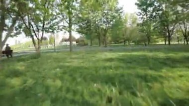 Doğanın sakinliğinin paten kaymanın heyecanıyla buluştuğu çarpıcı bir parkta büyüleyici bir yolculuğa çıkın. Video izleyicileri parkın dingin güzelliğine davet ediyor.