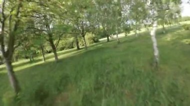 Bu büyüleyici videoyla kendinizi doğanın sükunetine bırakın, günlük yaşamın koşuşturma ve koşuşturmasından huzurlu bir kaçış teklif edin. Resimli bir gezintide bize katılın.