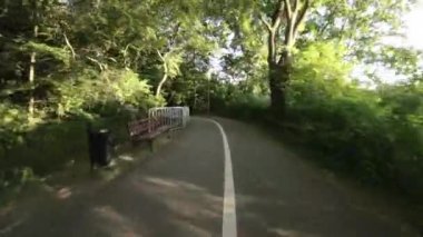 Bereketli ağaçların dolambaçlı asfalt bir yol üzerinde yeşil bir tepe oluşturduğu pitoresk bir parkta sakin bir yolculuğa bize katılın. Güneş ışınları yaprakların arasından süzülüp benekli bir desen oluşturuyor.